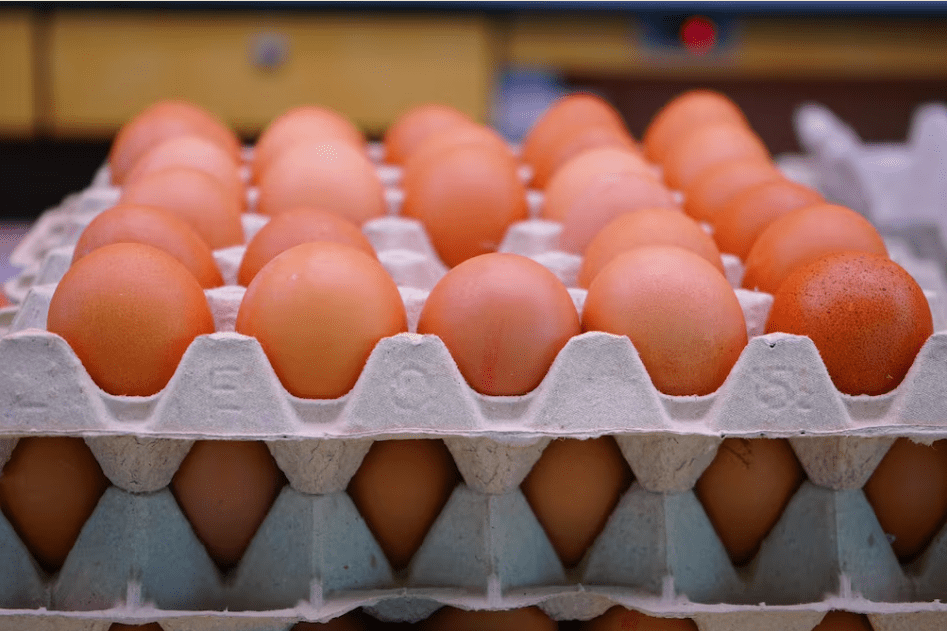 Ecuador logra acceso a Emiratos Árabes Unidos y expande su mercado de exportación de huevos