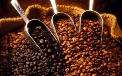 Ecuador exporta café libre de deforestación y marca un hito ambiental