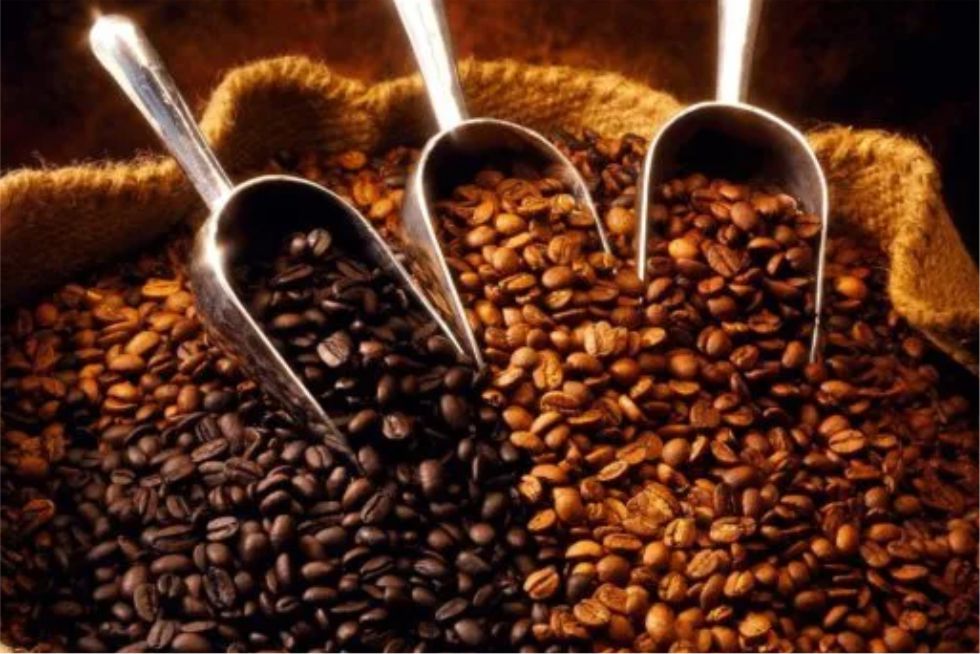 Ecuador exporta café libre de deforestación y marca un hito ambiental