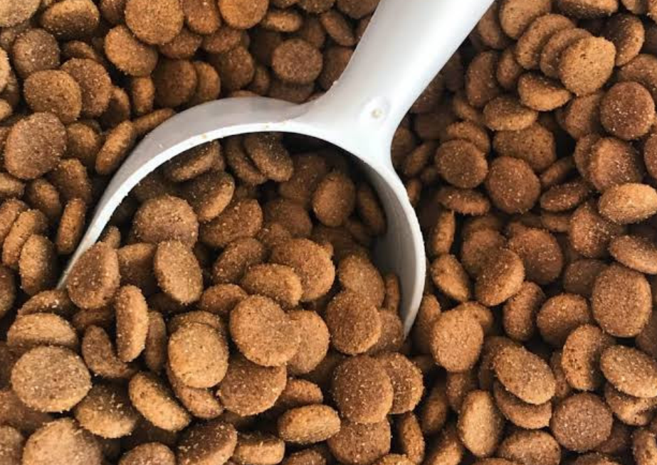 De Ecuador al mundo: los alimentos para mascotas impulsan un nuevo boom exportador